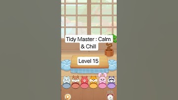 Tidy Master : Calm & Chill Level 15 #games #satisfyingames #solution #fyp