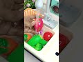 ASMR Sink Toy Unboxing 🚿 – Kitchen Sink Setup &amp; Water Play | Satisfying ASMR