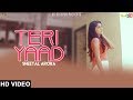 Teri yaad  sheetal arora   2017  vs records