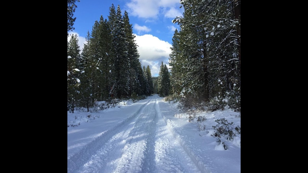 REMEMBERING FAMILY AT CHRISTMAS