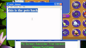 insaniquarium hacks using CHEAT ENGINE
