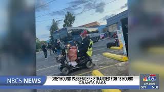 GREYHOUND STRANDS PPL @KOBITVNBC5