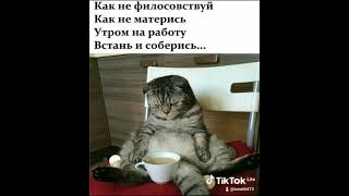 Завтра на работу 😢 #юмор #мир #люблю #рекомендации #shorts