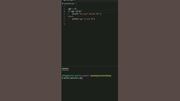 Beginner python mistakes - equal vs double equals. What is the difference? #python #coding #bug
