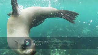 7994A6D3 1E76 4824 Ac76 E149F025Ad83