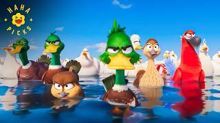 The Ducks Make It To Jamaica Migration