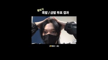 뽁아리에서 검냥이로 / Stray kids