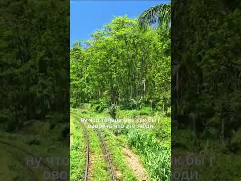 У всех есть душа | Люди без души