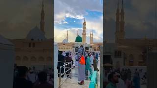 #love islamic constant