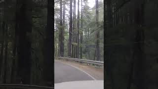 Nainital trip with my husband 😆👉#viral #love #shortvideo