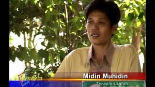 TERAPI LINTAH