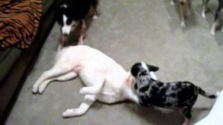 DSCF1631.AVI