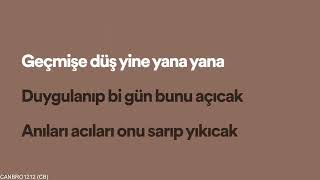 Veysel Mutlu - Yana Yana - lyrics Resimi