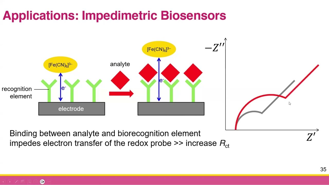 EP. 5 Basic Applications of EIS in Chemistry | EIS for Chemists: The Basics (ไทย)