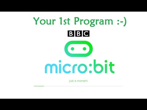 micro:bit Project 1