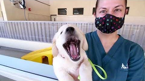 GDB Virtual Campus Tour