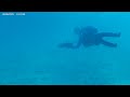 Diving in Krk with Leopold and his scubaJet