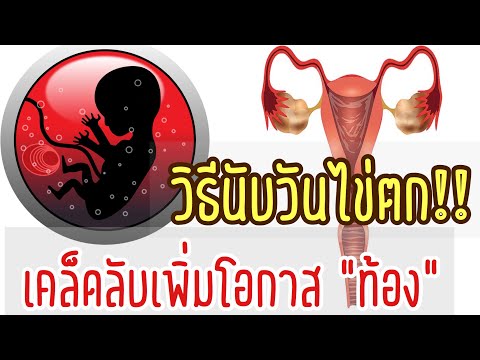 วีดีโอ: วิธีการตกไข่