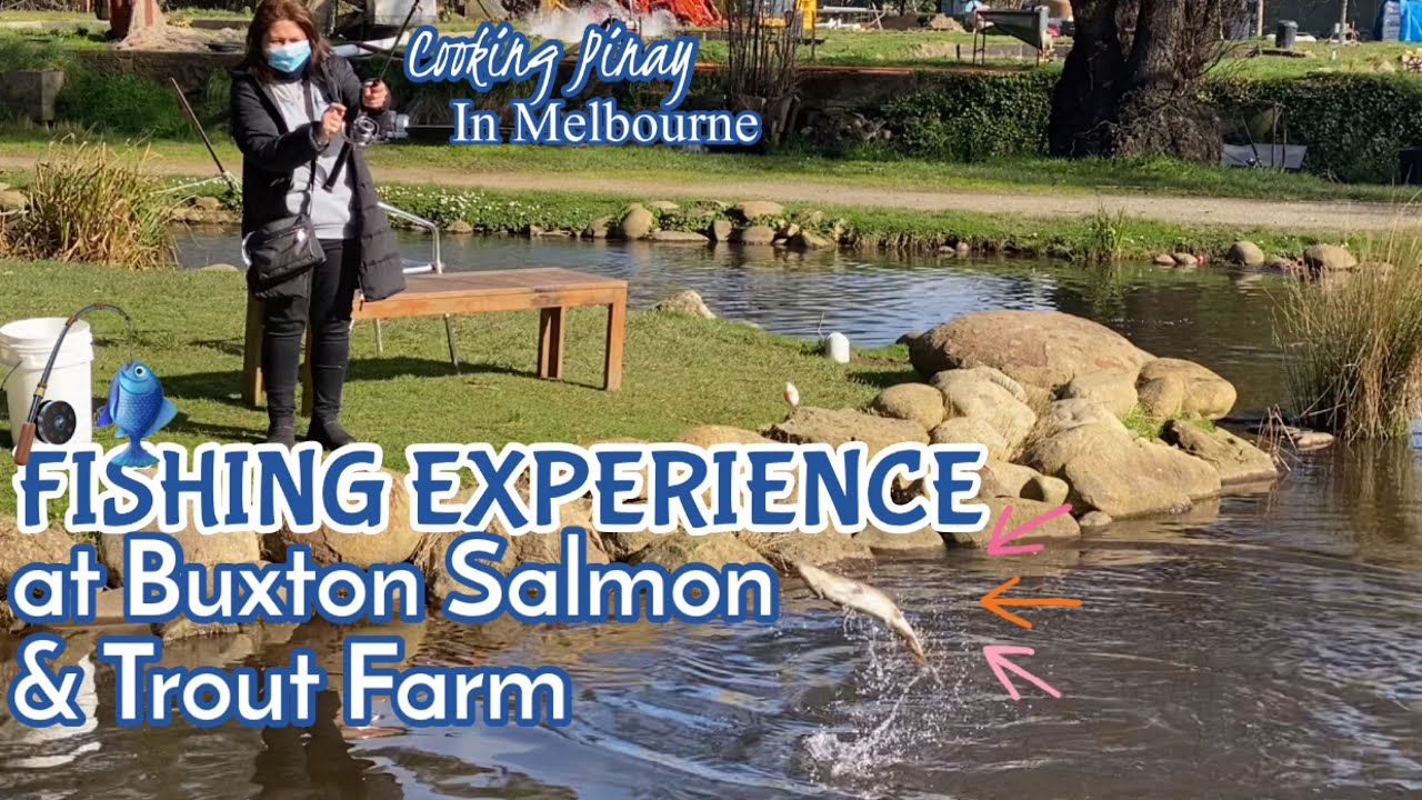 FISHING EXPERIENCE at BUXTON SALMON & TROUT FARM CATCH&COOK Cooking Pinay Travel & Adventure FISHING EXPERIENCE at BUXTON SALMON & TROUT FARM CATCH&COOK Cooking Pinay Travel & Adventure