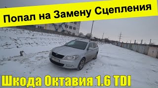 Начались Проблемы Сцепления и Маховика - Skoda Octavia a5 1.6 TDI