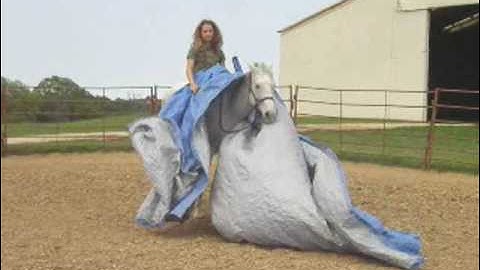 Lace And Mace      ***For up-to-date info, price, etc., go to our website***