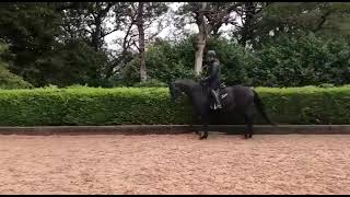 Ad ref 278243 Video 2