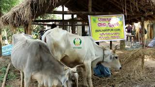 Integrated farming systems in krishi vigyan kendra