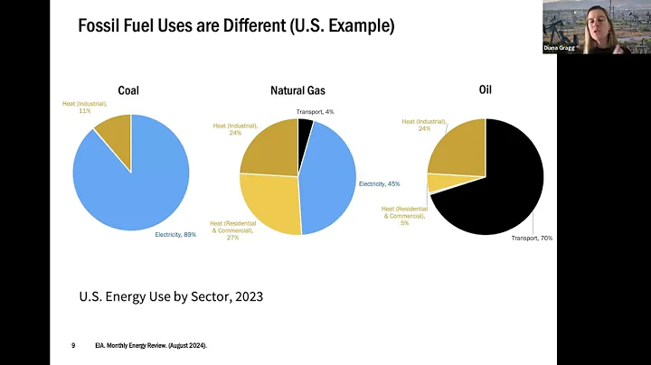 Introduction to Fossil Fuels 10-Minute Take | Diana Gragg | Stanford Understand Energy