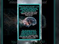 Your Brain Has Never Shown You Reality