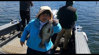 Late Spring Crappie Fishing And They Caught A Lot!