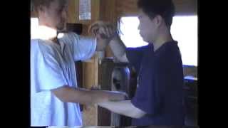 Wing Chun Sinking Elbow and Projection of Tahn Sau