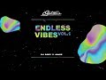 Dj dory jamie  fresh ting  endless vibes vol 1