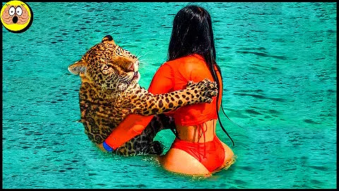 Quali sono i gatti comuni?