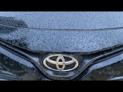 Video: Ar 2001 m. Toyota Camry turi salono oro filtrą?