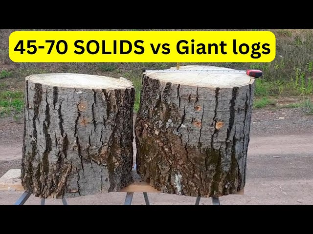 45-70 vs Giant Logs class=