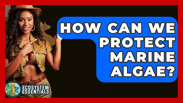 How Can We Protect Marine Algae? - Ecosystem Essentials