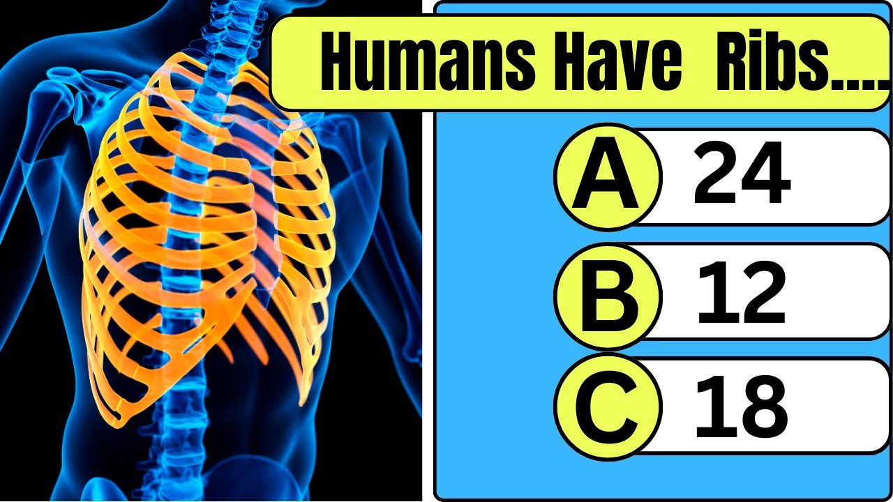 Can You Pass This Human Body Quiz| Human Body Quiz # 5 - YouTube