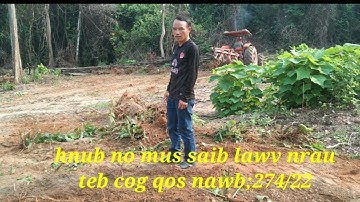 hnub no mus saib lawv nrau teb cog qos nawb;27/4/22