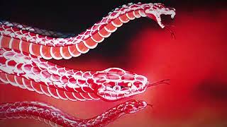 Ninja Scroll Look At Me