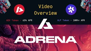 Adrena Perpetual Trading Overview
