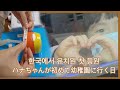 [한일부부/日韓夫婦] 한국에서 유치원 가는 첫 날/ハナちゃんが初めて幼稚園に行く日