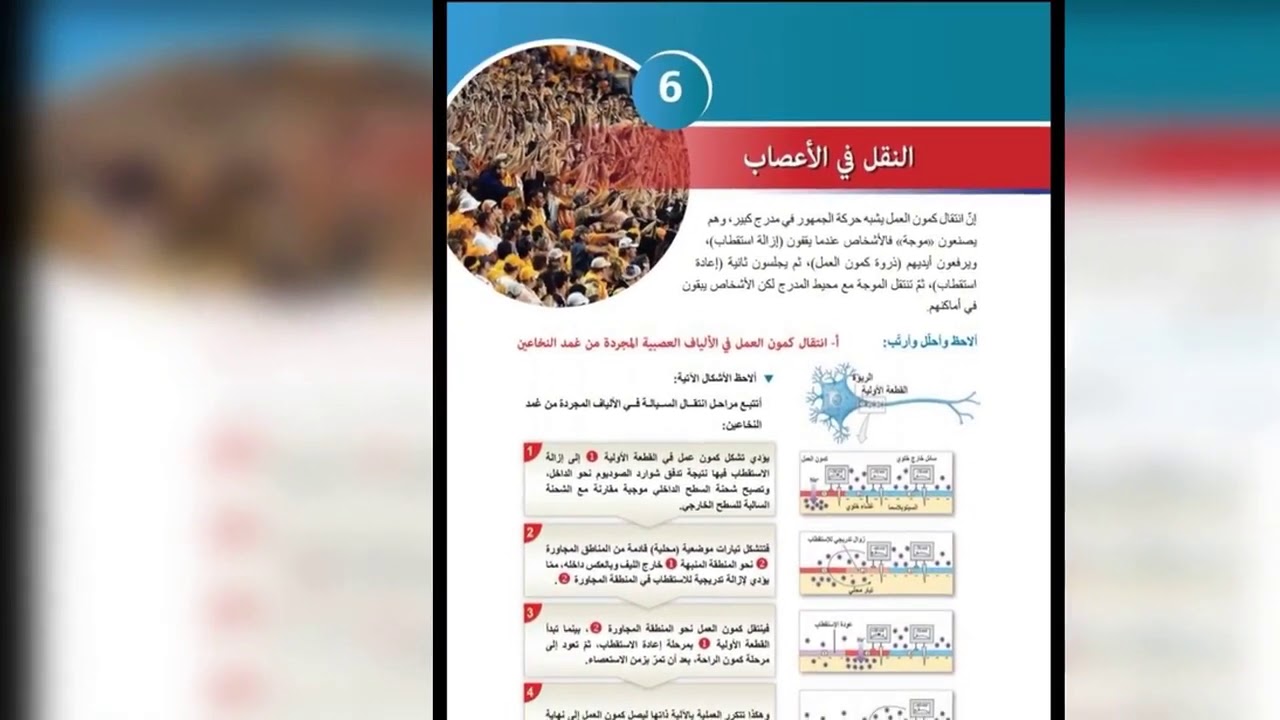 بكلوريا علوم النقل في الأعصاب🧠💯⚘