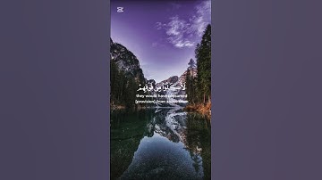 ياسر الدوسري - سورة المائدة - اية ٦٦ #قرآن #ياسر_الدوسري #سورة_المائدة