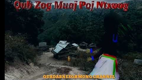 qub zog muaj poj ntxoog 31/3/2022