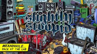 Video thumbnail of "Guns In Paradise - Slightly Stoopid (Official Audio)"