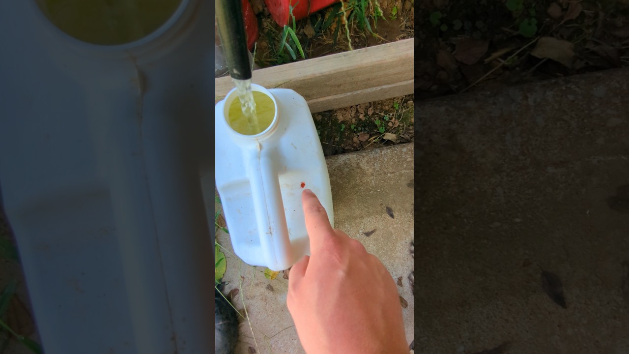 A Clue To Pouch's Injury Mystery!! 