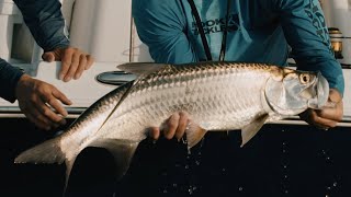 Unfathomed - Crazy Tarpon Bite in Freshwater