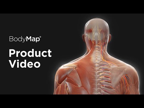 BodyMap - Human Anatomy VR 2023