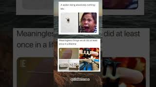 spider #memes #memesdaily #shortvideo