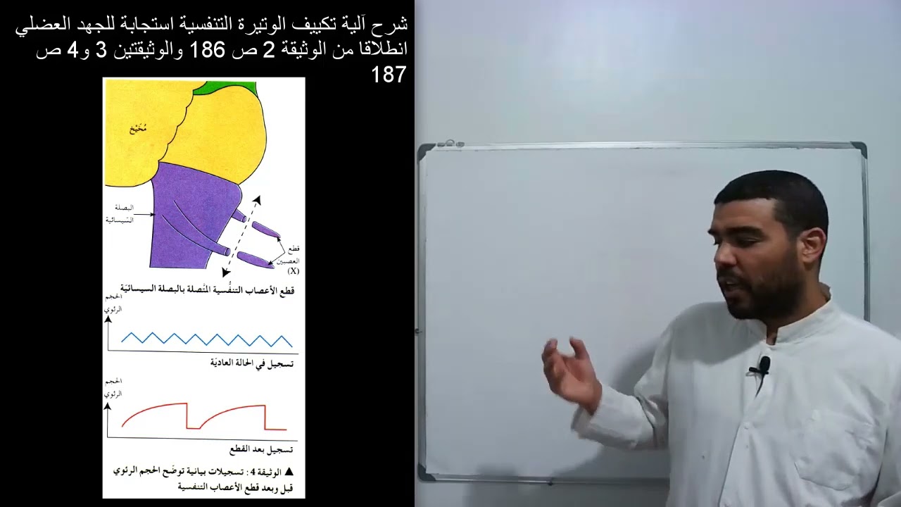 أولى علوم دور النظام العصبي في إعادة التوازن الوظيفي للعضوية (الجزء السادس)